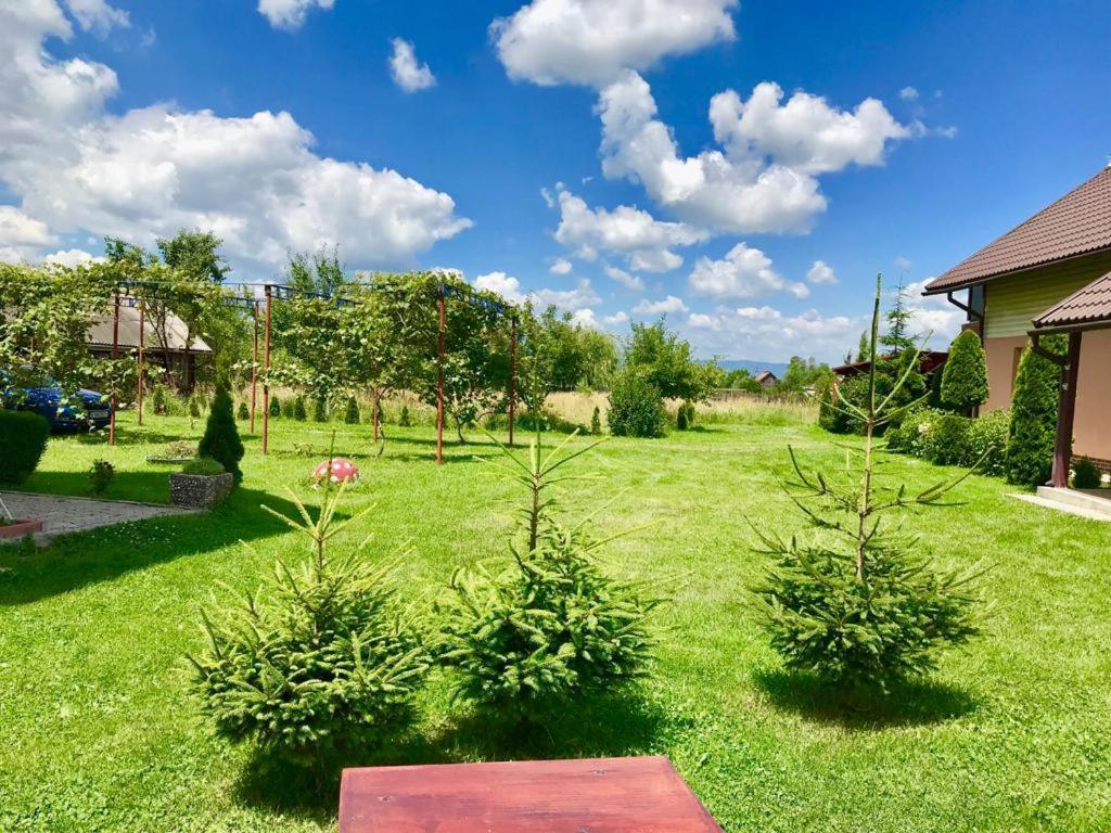 Casa Neagu Otel Covasna Dış mekan fotoğraf