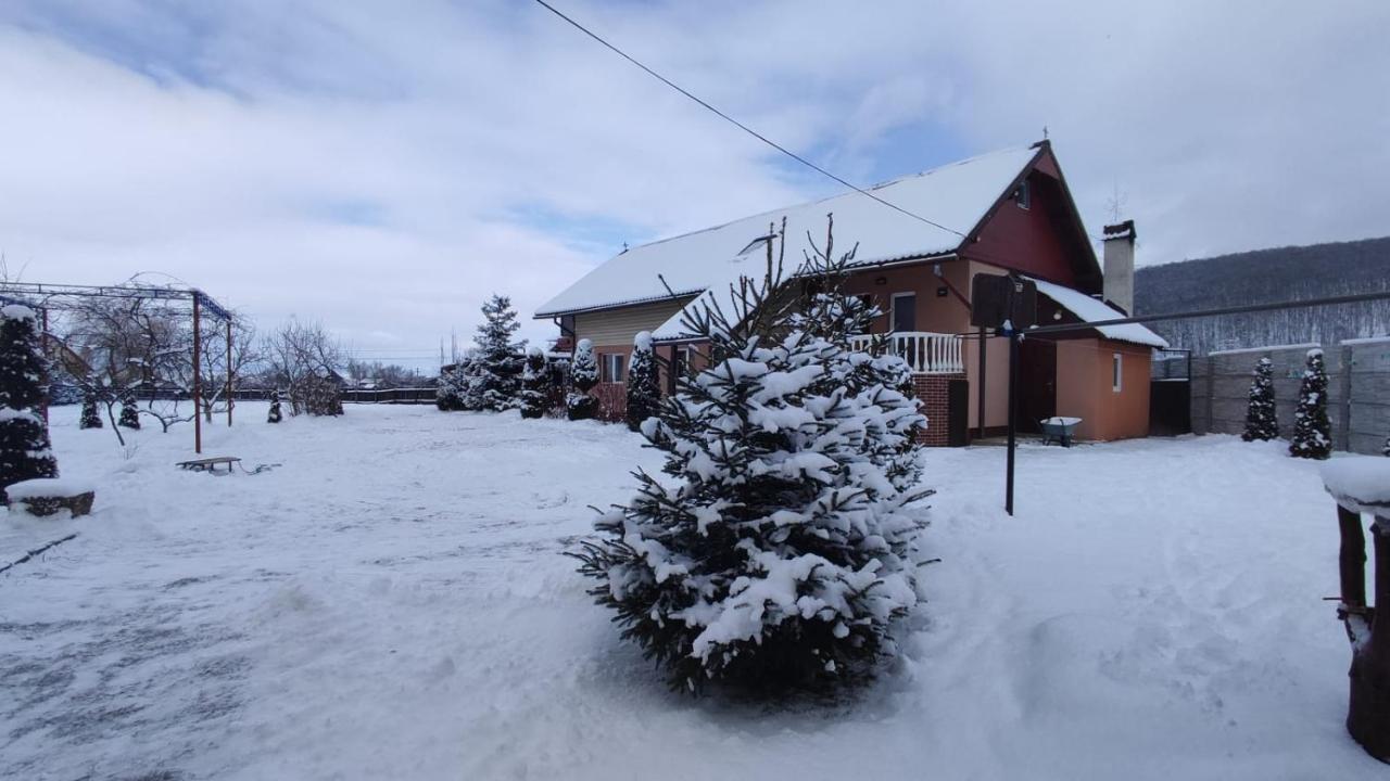 Casa Neagu Otel Covasna Dış mekan fotoğraf