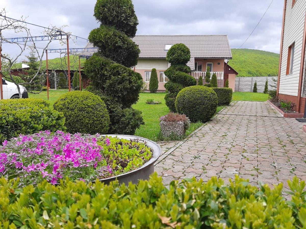 Casa Neagu Otel Covasna Dış mekan fotoğraf